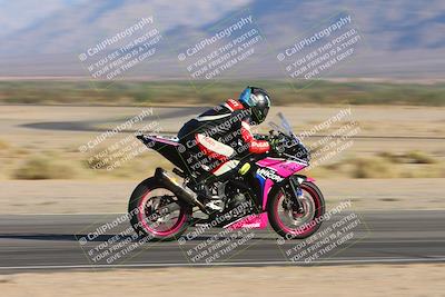 media/Oct-05-2024-Race Pace (Sat) [[aa7b44e117]]/3-Back Straight Pans (825am)/